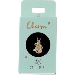 Depesche 11834-022 Waterman charm, vergulde hanger voor kettingen, armbanden en oorbellen, ideaal als klein geschenk