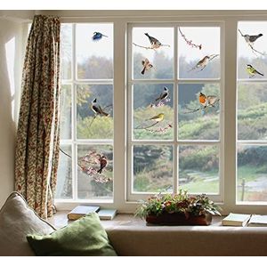 Komar - Windowsticker BIRDS - 31 x 31 cm - raamdecoratie, raamsticker, raamfolie, vogel, blauwe beits, vintage - 16003, bont