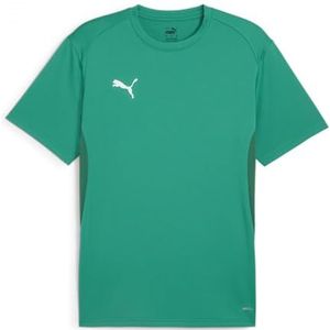 PUMA Teamgoal Jersey T-shirts voor heren