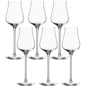LEONARDO HOME 066413 Grappa glas 210ml Brunelli 6 stuks glas