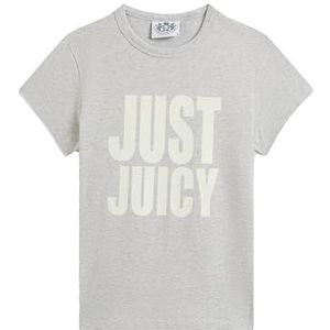 Hilton - T-shirt - Silver Marl