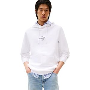 Tommy Hilfiger - OUTLINE FLAG SCRIPT HOODIE MW0MW39372 - Pullover Hoodie - Wit