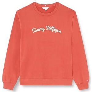 Tommy Hilfiger Dames CRV MDRN REG SCRIPT SWEATSHIRT Pullover Sweatshirt, Terra Rood, 48, Terra Rood, 48