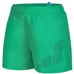 arena Jongens' Strand Shorts Logo R Swim Trunks Jongen, Groen kwarts paars blauw, 14-15 Jaar
