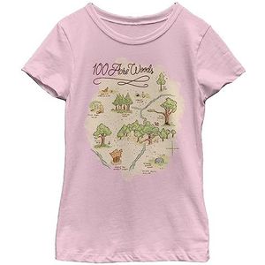Disney Winnie The Pooh - Acre Map T-shirt Top voor meisjes, Rosa, XS