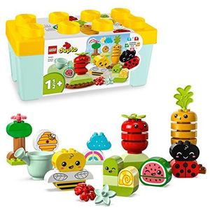 Incarijk lade absorptie Plastic speelgoed groenten en fruit - speelgoed online kopen | De laagste  prijs! | beslist.nl