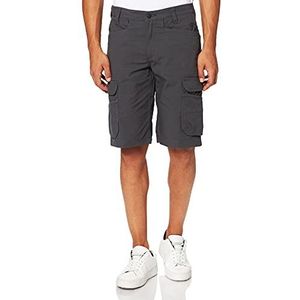 Carhartt Heren Rugged Flex Relaxed Fit Ripstop Cargo Multi Pkt Work Utility Shorts, shadow, 40W