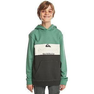 Quiksilver Emboss Block Hoodie Youth Sweatshirt met capuchon voor jongens (1 stuk)