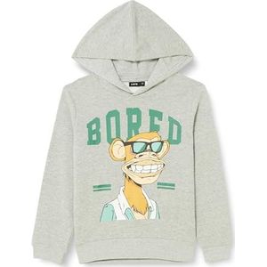 NAME IT Nlnnuk Boredofdirectors Sweat Wh Bru Sky capuchontrui, uniseks, gemengd grijs, 170-176