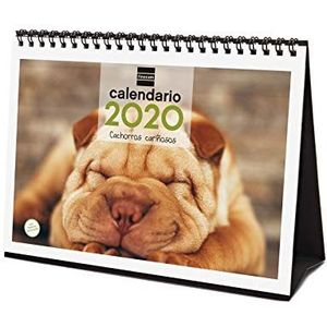 Finocam Tafelkalender 2020 foto's Spaanse puppy's