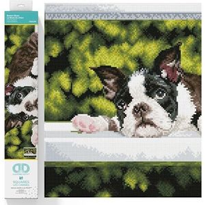 DIAMOND DOTZ DQ10.018 - Originele 5D Diamond Painting Squares Set hond Boston Blues, creatieve set met 24.288 vierkante diamant mozaïekstenen, schilderset ca. 47 x 37 cm, voor volwassenen en kinderen