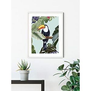 Komar Muurafbeelding - Toco Toucan - Grootte: 40 x 50 cm - Poster, kunstdruk, decoratie, woonkamer, slaapkamer (zonder lijst)