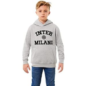 Inter Sweatshirt met capuchon voor kinderen en jongens, Lichtgrijs, 4 jaar