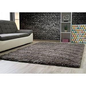 Hoogpolig tapijt Pindos in antraciet, pluizig, Ökotex gecertificeerd, woonkamer, grootte: 120x160 cm