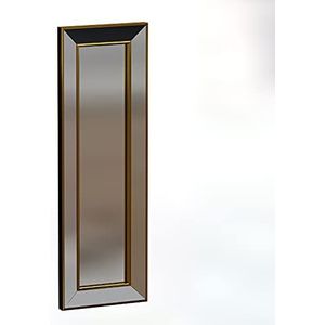 moebel17 5781 Carlos spiegel wandspiegel badkamerspiegel gangspiegel cosmetische spiegel gespiegeld frame, verguld, modern, 30 x 90 x 3,5 cm