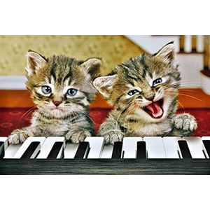 BSB Grappige verjaardagskaart verjaardagsgroeten verjaardagswensen Premium Line katten op piano envelop wit 941043-2