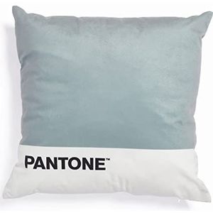 Pantone™ – decokussen, gevoerd, 40 x 40 cm, met verborgen ritssluiting, vulling 350 g/m², grijs