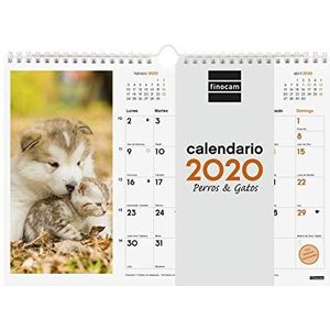Finocam Wandkalender 2020 afbeeldingen spiraal 30 x 21 honden en katten Spaans