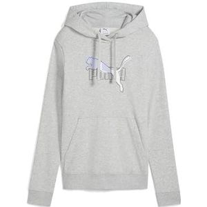 Kleur - Pullover - Lichtgrijs - Met Capuchon - Lange Mouwen