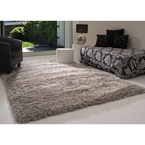 Hoogpolig tapijt Pindos in zilver, pluizig, Ökotex gecertificeerd, woonkamer, grootte: 120x160 cm