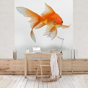 Apalis Kinderbehang vliesbehang Goldfish Is Watching You Fotobehang Vierkant | Fleece Behang Muurschildering Foto 3D Fotobehang voor Slaapkamer Woonkamer Keuken | Grootte: 192x192 cm, oranje, 97708