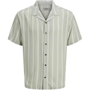Jrebwater Stripe Resort Shirt Ss, desert sage, S