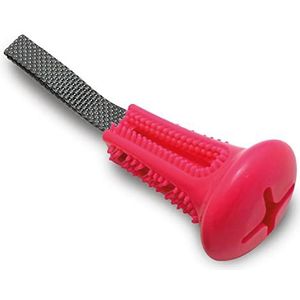 ARQUIVET Roze tandenborstel S met handgrepen, speelgoed voor alle honden, hondenaccessoires om te kauwen, kunststof speelgoed om te kauwen, spelen en entertainment