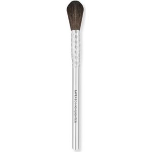 F08 Tapered Highlighter Brush