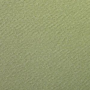 Clairefontaine - Ref 90884C - Etival Gekleurd Graineerd Tekening Papier (Verpakking van 5 Vellen) - A4 (29,7 x 21cm) - 160 g/m² Cellulose Art Papier - Amandelgroen - Zuurvrij, pH Neutraal
