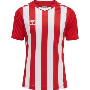 hummel Heren Hmlcore Xk gestreepte jersey S/S T-shirt, rood, 3XL, Rood, 3XL