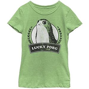 Little, Big Star Wars: The Last Jedi Lucky PORG Girls Short Sleeve Tee Shirt, Green Apple, X-Large, Apple Green, XL