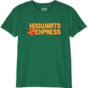 HARRY POTTER BOHAPOMTS138 T-shirt, groen, 12 jaar