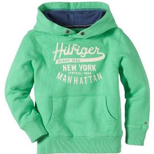 Tommy Hilfiger heren sweatshirt MANHATTAN HD HWK lange mouwen / E557119364