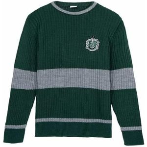 CERDÁ LIFE'S LITTLE MOMENTS - Harry Potter gebreide trui voor dames en heren met ronde hals en lange mouwen in jersey-stijl, officieel Warner Bros gelicentieerd product, Groen, XL