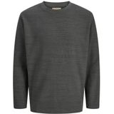 JACK & JONES Shirt 'JPRBLUDEREK'  donkergrijs