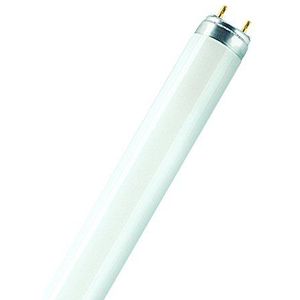 Osram LED-buis | Cool Daylight (6500 K) | 1500 mm lengte | G13 | vervangt TL-buizen met 58 W | T8 | SubstiTUBE PURE