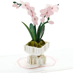 Hallmark Signature pop-up moederdagkaart of verjaardagskaart voor vrouwen (orchidee)