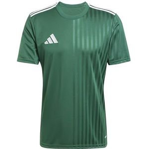 adidas Hombre CAMPEON25 JERSEY, team dark green/white, 3XL