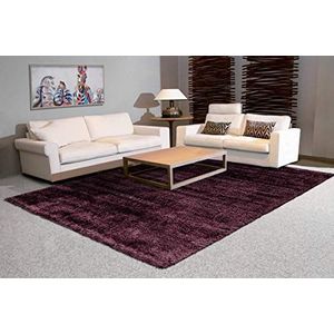Arte Espina hoogpolig tapijt Shaggy tapijten Uni Paars Violet 120X170cm