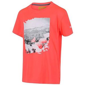 Regatta Unisex Kids Alvarado V' Active Printed T-Shirts/Polo's/Vesten