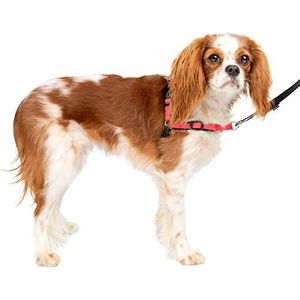 PetSafe Deluxe Easy Walk hondenharnas