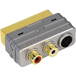 ProClass Video Compacte Adapter ProClass 4-pins S-VHS Koppeling/2 RCA Jack SCART