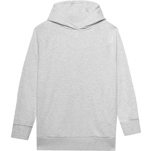 4F Sweatshirt F0955 Cold Light Grey Melange XL voor dames, Koud lichtgrijs gemêleerd, XL