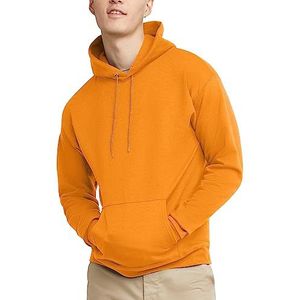 Hanes Heren trui EcoSmart Hooded Sweatshirt, Oranje (Safety Orange), L