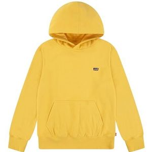 Levi's - Mini Batwing Hoodie - Jongens Hoodie - Grijs - Katoen