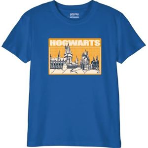HARRY POTTER Jongens T-shirt, Blauw, 12 Jaren