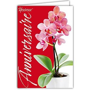 Afie 65-1298 wenskaart voor verjaardag, kalligrafie, bloemen, orchideeën, roze, rode achtergrond, met witte envelop, formaat 12 x 17,5 cm