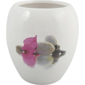 MSV Vaas Java Borneo