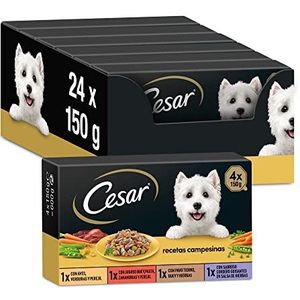 Cesar Natvoer voor honden, selectie boerenrecepten in saus, multipack (6 x 4 bekers x 150 g)