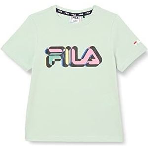 FILA Unisex Battipaglia Graphic T-shirt voor kinderen, Silt Green, 110/116 cm